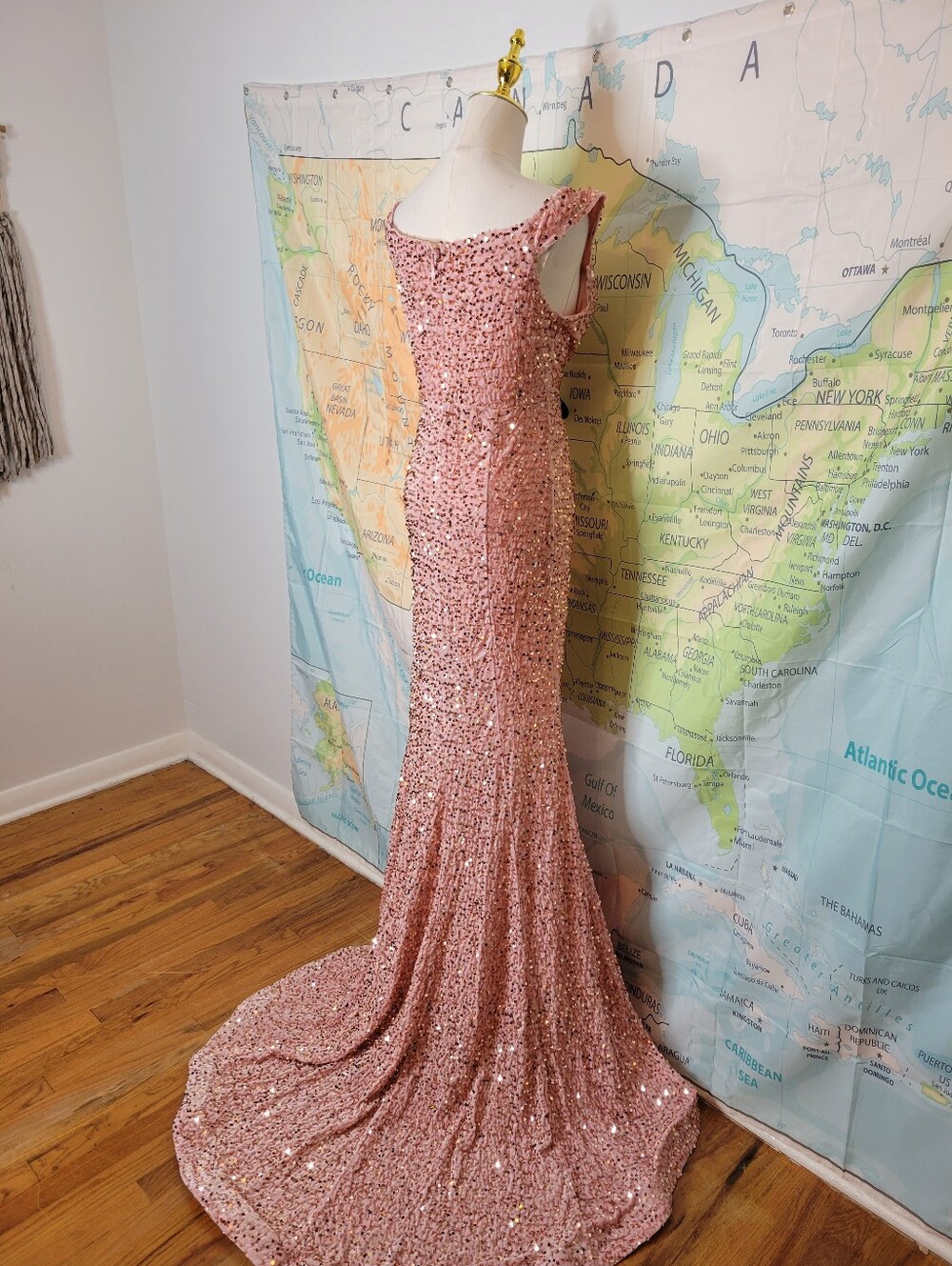 Fashion Nova Elegant Pink Velvet Sequin Evening Gown - Picture 10 of 16